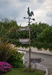 Similar image 21945554