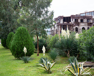 Similar image 21945556