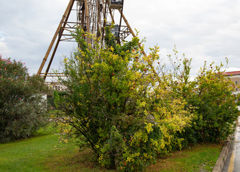 Similar image 21945569