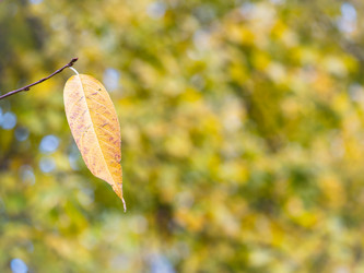 Similar image 21949283