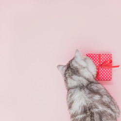 Similar image 21949566