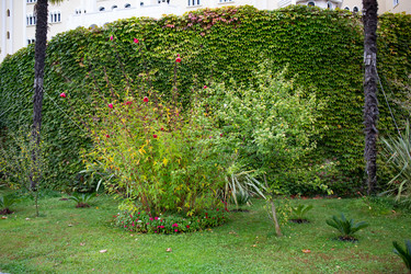 Similar image 21945589