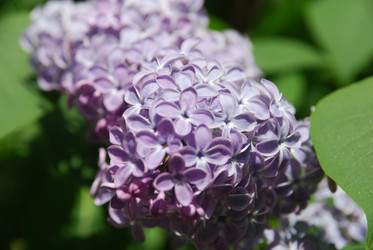 Similar image 21942908