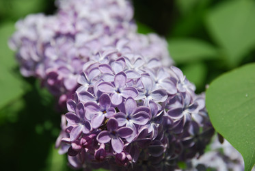 Similar image 21942909