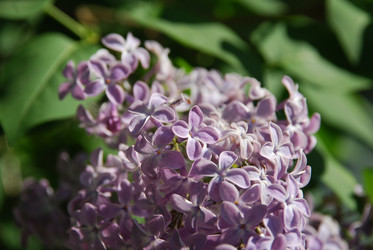 Similar image 21942910