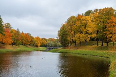 Similar image 21939884