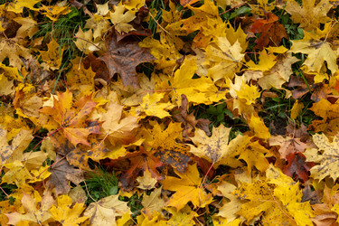 Similar image 21939885