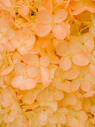 Similar image 21949583