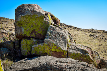 Similar image 21942522