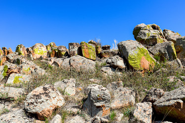 Similar image 21942523