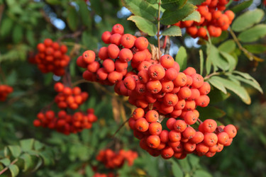 Similar image 21939900