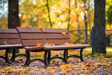 Similar image 21943538