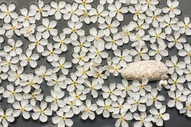 Similar image 21945620