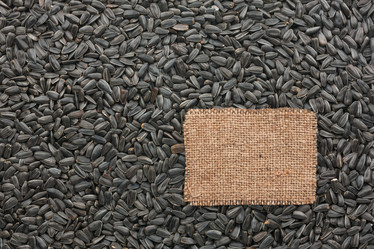 Similar image 21945632