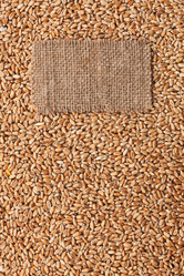 Similar image 21945633