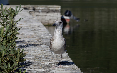 Similar image 21942142