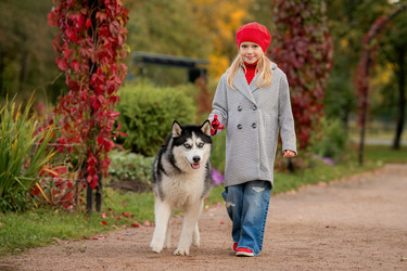 Similar image 21943547