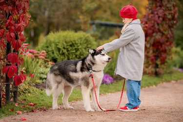 Similar image 21943549