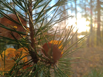 Similar image 21946475