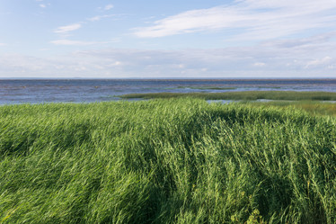 Similar image 21942913