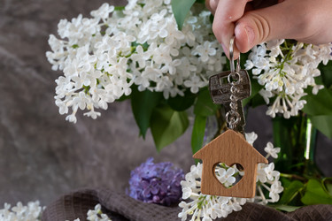 Similar image 21942440