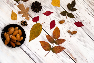 Similar image 21942447