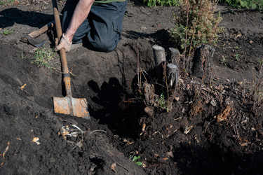 Similar image 21942448