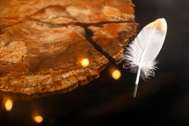 Similar image 21939788