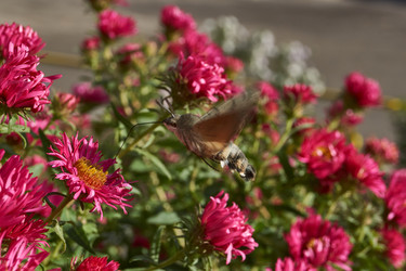 Similar image 21939421