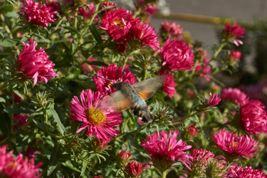 Similar image 21939422