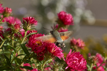 Similar image 21939423