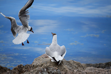 Similar image 21939909