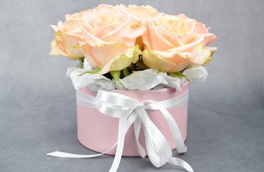 Similar image 21943205