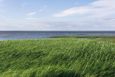 Similar image 21942936