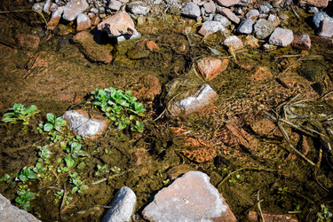 Similar image 21942537