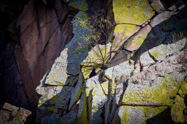 Similar image 21942539