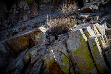 Similar image 21942543