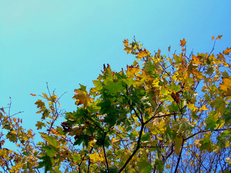 Similar image 21943883