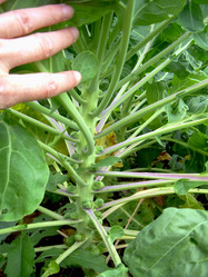 Similar image 21943282