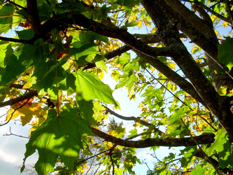 Similar image 21943884