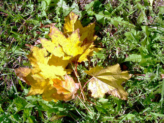 Similar image 21943283