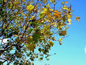 Similar image 21943885