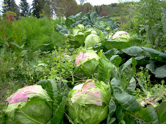 Similar image 21943284