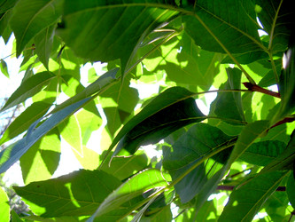 Similar image 21943285