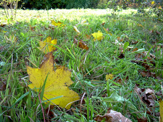 Similar image 21943286