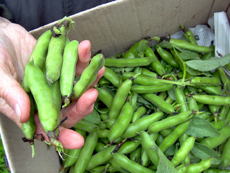 Similar image 21943288