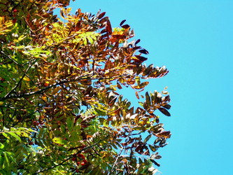 Similar image 21943289