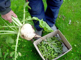 Similar image 21943290