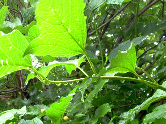 Similar image 21943291