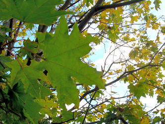 Similar image 21943886